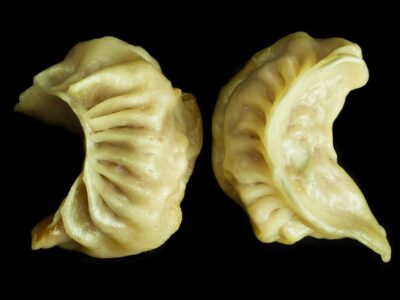 Ravioli di maialino