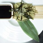 spaghetti di soia su foglia decorativa con alghe e soia